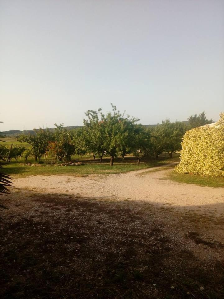 شقة Residenza Agrituristica Santa Lucia Con Piscina ألغيرو المظهر الخارجي الصورة