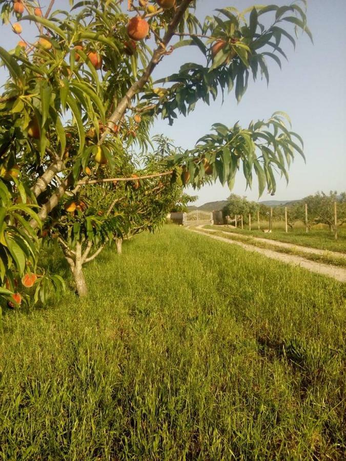 شقة Residenza Agrituristica Santa Lucia Con Piscina ألغيرو المظهر الخارجي الصورة
